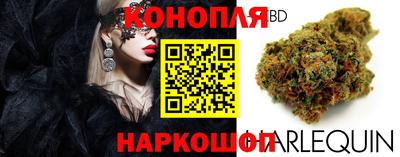 шишки Пенза