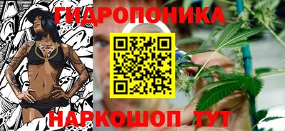 стафф Партизанск